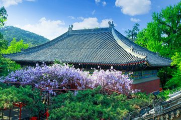 红螺寺第 63 张图片