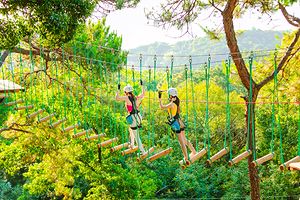 西樵山森吧飞越树上探险乐园