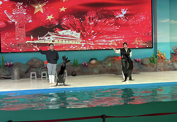 梦幻海洋企鹅馆第 67 张图片
