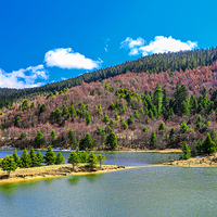 普达措国家公园