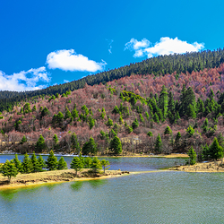 普达措国家公园