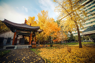 西北大学博物馆第 2 张图片