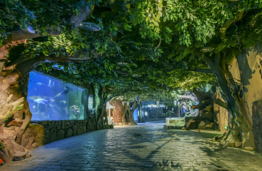 赣州极地海洋世界第 25 张图片