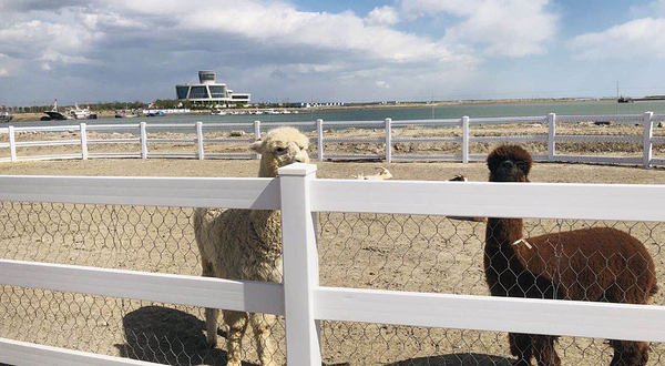 卡尔牧场·蟹贝滩