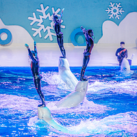 泉州欧乐堡海洋王国乐园