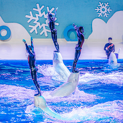 泉州欧乐堡海洋王国乐园