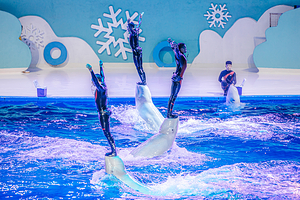 泉州欧乐堡海洋王国乐园