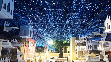 猫咪博物馆（梅溪湖步步高店）