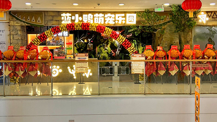 蓝小鸭萌宠乐园(万达广场惠州大亚湾店)第 26 张图片
