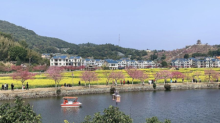 坪盘村油菜花第 1 张图片