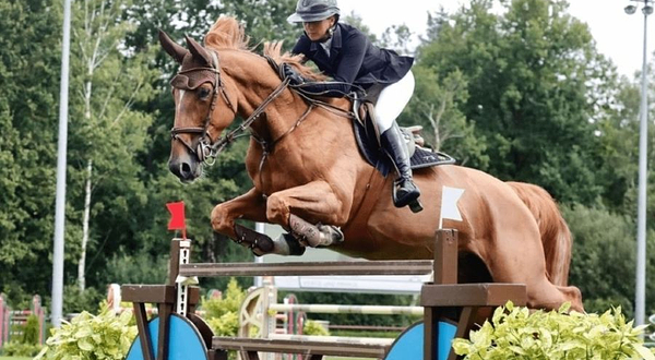 莱耀马术俱乐部