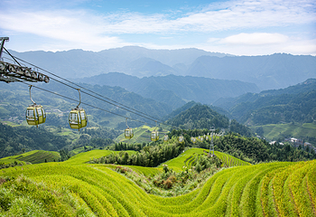 龙脊梯田风景名胜区-金坑梯田第 13 张图片