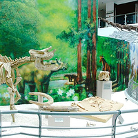 中国地质大学-逸夫博物馆