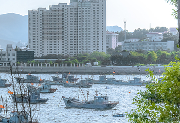 海源公园第 14 张图片