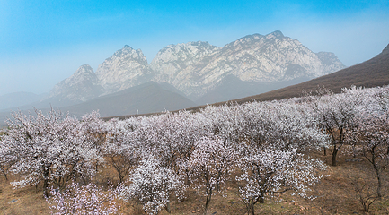 嵩山风景名胜区第 6 张图片