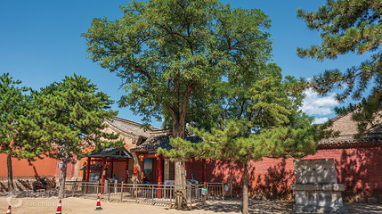 南禅寺第 4 张图片