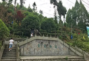 茶溪谷第 110 张图片