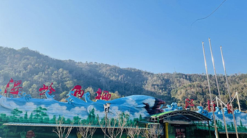 温岭两栖动物爬行馆