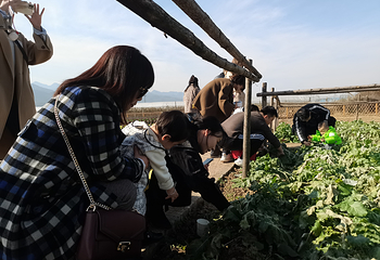 原乡农场第 37 张图片