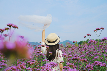 蔚然花海第 172 张图片