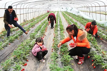 田水湾漫花小镇第 27 张图片