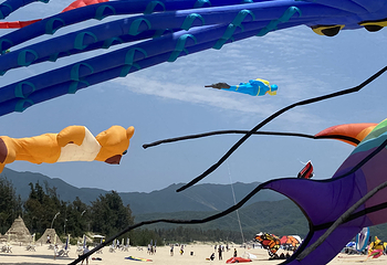 西涌国际滨海旅游区第 36 张图片