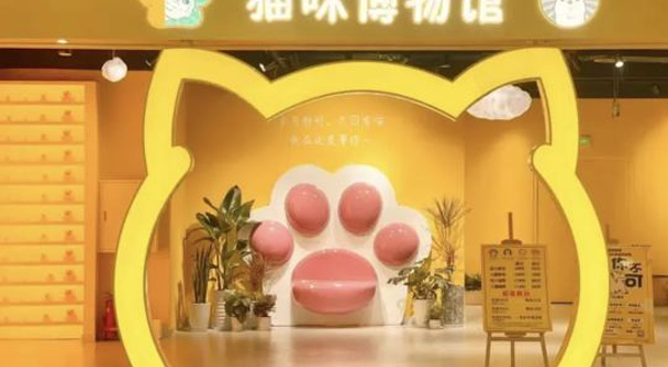 漫咔萌猫咪博物馆(银泰城店)