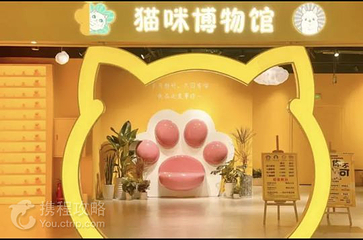 漫咔萌猫咪博物馆(银泰城店)第 4 张图片