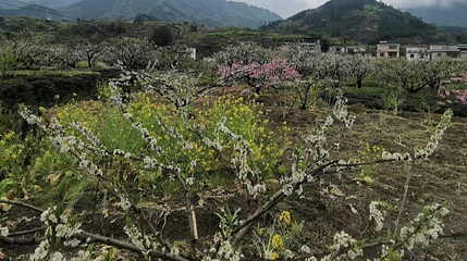 乐昌九峰山第 1 张图片