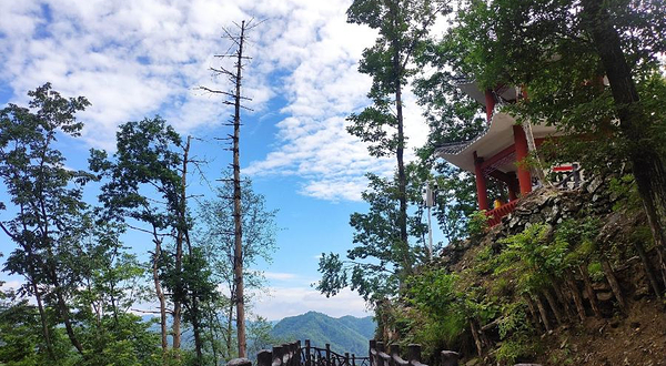 西塞国森林公园