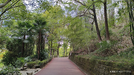 雨台山公园第 5 张图片