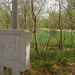 大巩山森林公园