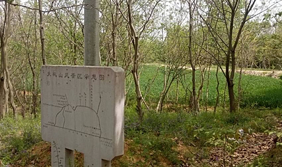 大巩山森林公园第 1 张图片