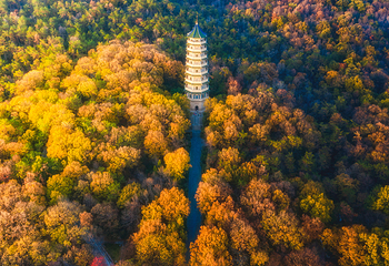 灵谷景区第 22 张图片