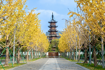 龙华寺第 6 张图片