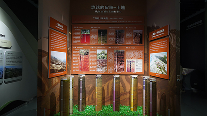 南宁市人民公园第 15 张图片