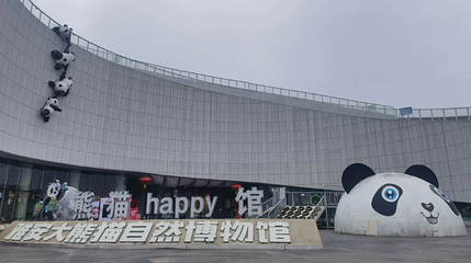雅安大熊猫自然博物馆第 1 张图片