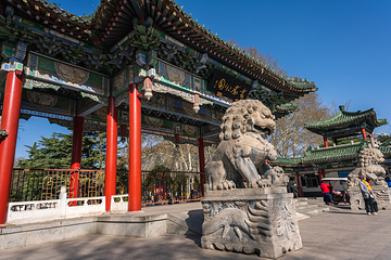 丛台公园第 4 张图片