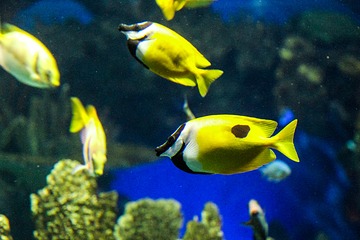 加拿大里普利水族馆第 3 张图片