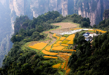 天子山风景区第 52 张图片