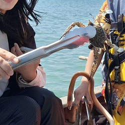 万宁赶海人家