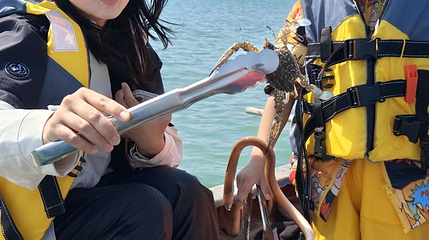 万宁赶海人家第 1 张图片