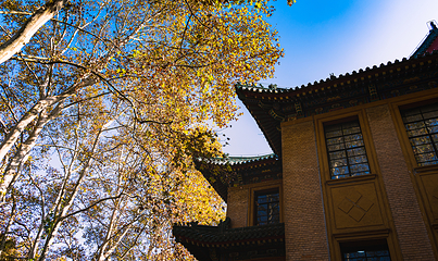 钟山风景名胜区第 228 张图片