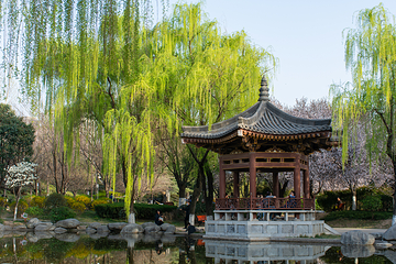 青龙寺第 19 张图片