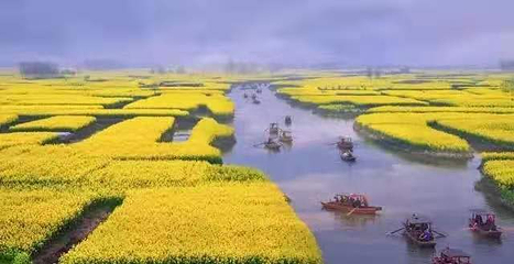 高邮·湖上花海第 4 张图片