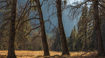 清河营郊野公园