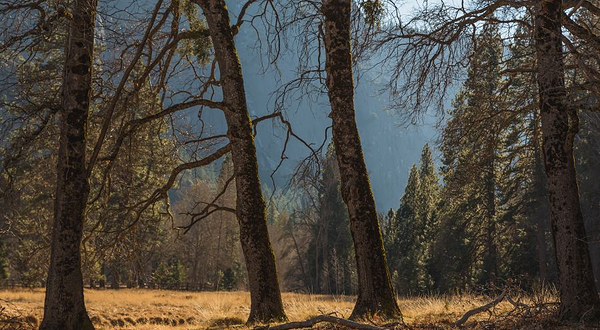 清河营郊野公园