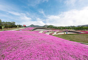 青岛世界园艺博览园第 23 张图片