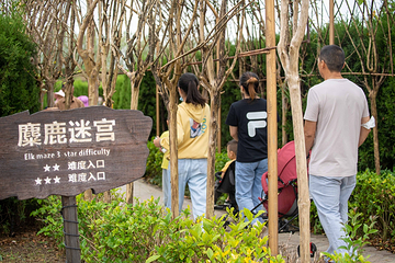 梦幻迷宫第 71 张图片