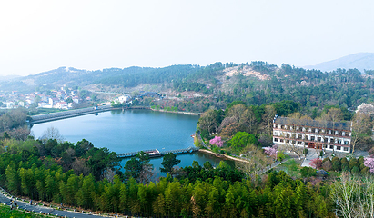 花乡茶谷旅游景区第 25 张图片